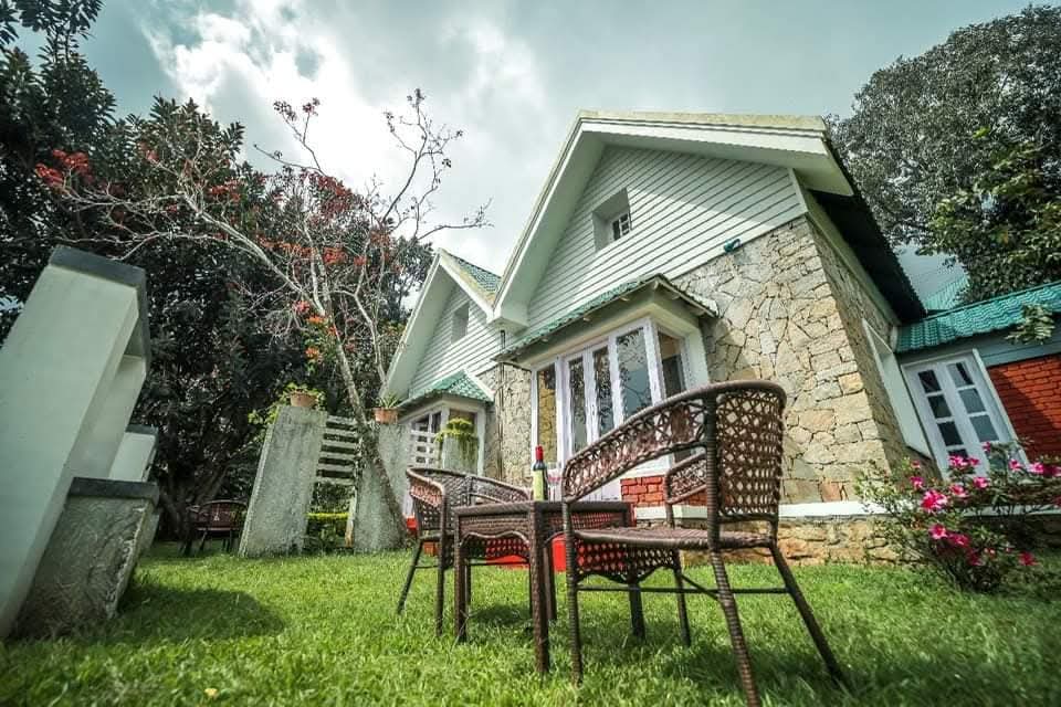 Estate Tea Craft - Plantation Tasting Session
