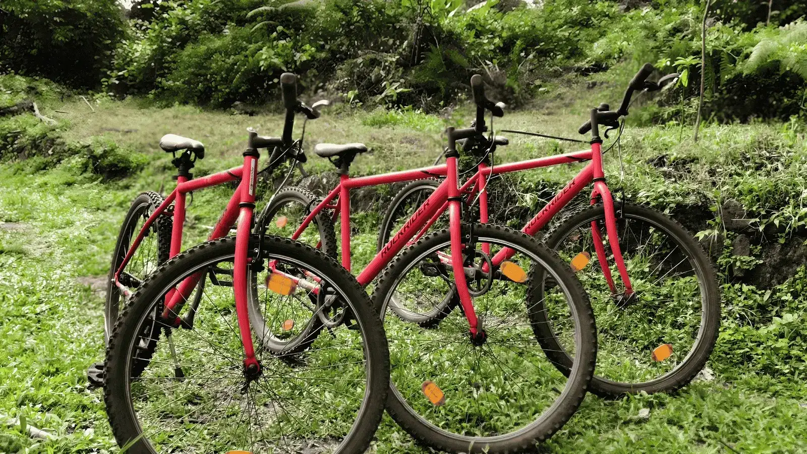 Cycling Around Ambady Estate