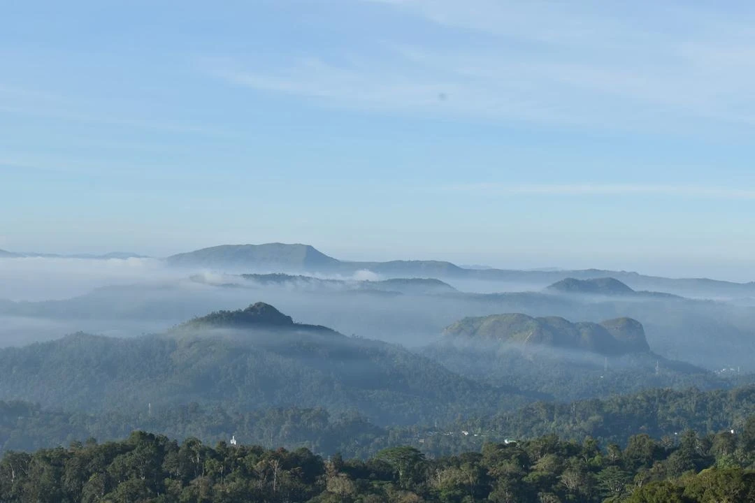 Karadipara View Point, Munnar