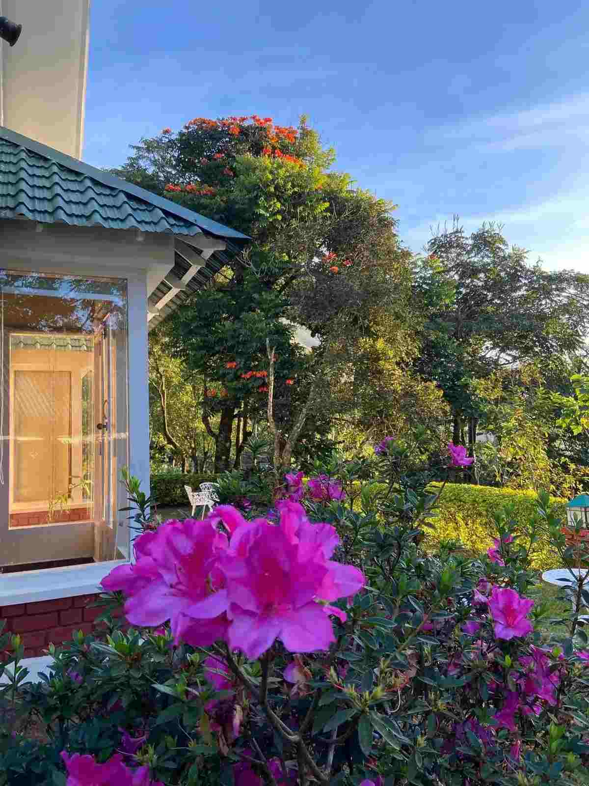 Half-Board Plantation Retreat: Breakfast, High-Tea & Dinner
